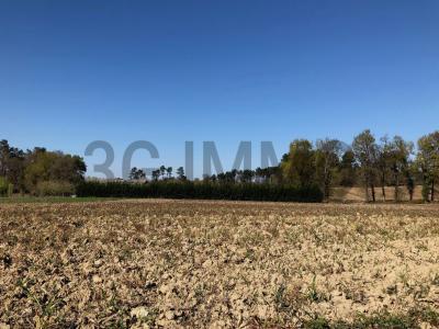 For sale Momuy Landes (40700) photo 0