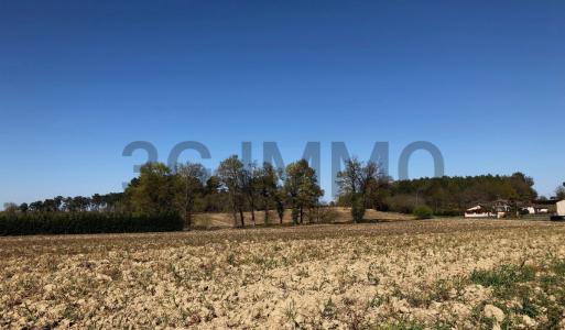For sale Momuy Landes (40700) photo 1