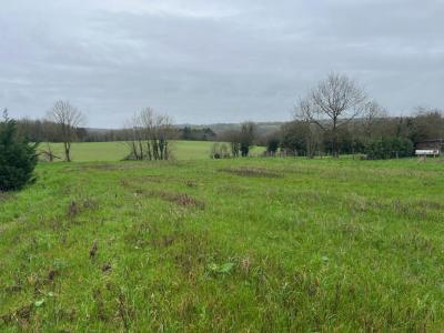For sale Reorthe 1822 m2 Vendee (85210) photo 0