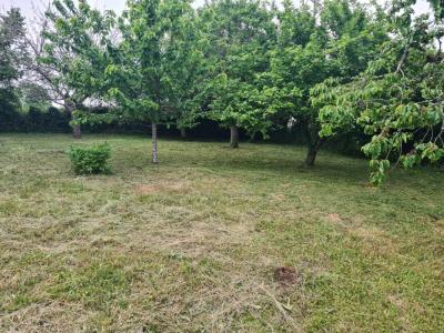 For sale Macon 816 m2 Saone et loire (71000) photo 0