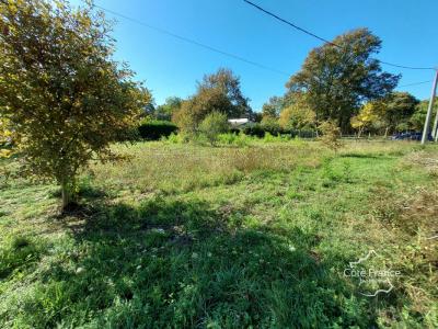 For sale Louchats 6050 m2 Gironde (33125) photo 1