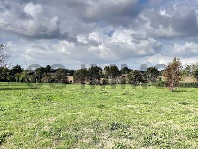 For sale Beyries Landes (40700) photo 0