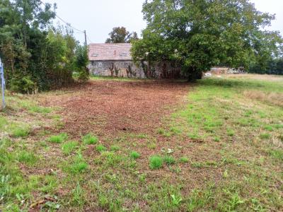 For sale Antezant-la-chapelle ESSOUVERT 390 m2 Charente maritime (17400) photo 0