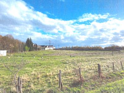 For sale Saint-sauveur 28000 m2 Haute saone (70300) photo 0