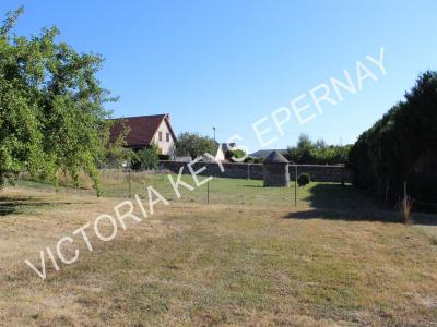 For sale Saint-martin-d'ablois 983 m2 Marne (51200) photo 0