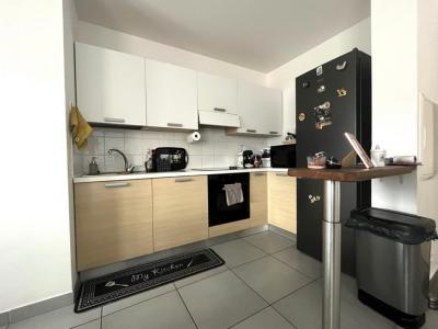 Annonce Location 3 pices Appartement San-nicolao 20