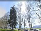 For sale Apartment Montagny-les-lanches ANNECY 22 m2
