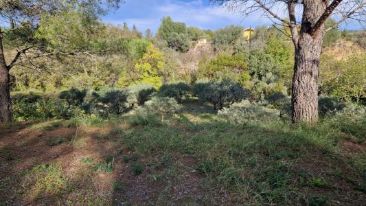 For sale Fontes 4250 m2 Herault (34320) photo 2