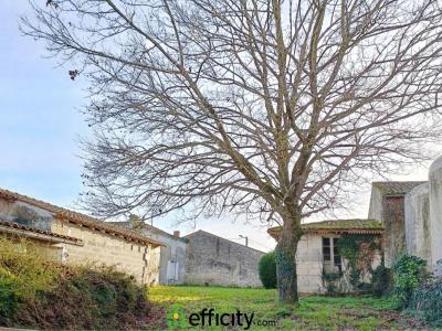 For sale Sainte-ramee 4 rooms 129 m2 Charente maritime (17240) photo 1