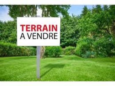 Annonce Vente Terrain Precy-sur-marne 77