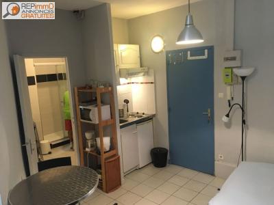 For rent Nantes 1 room 25 m2 Loire atlantique (44300) photo 1