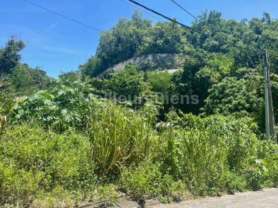 For sale Gosier 5000 m2 Guadeloupe (97190) photo 1