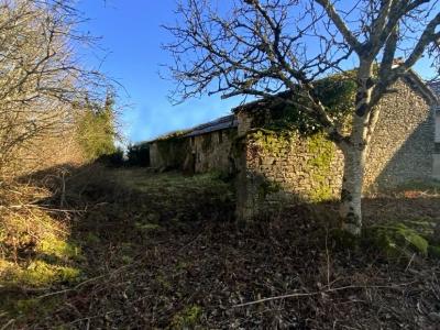 For sale Negrondes 1 room 65 m2 Dordogne (24460) photo 0