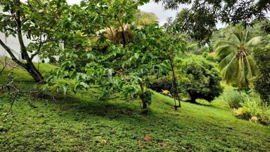 For sale Riviere-salee 8 rooms 2017 m2 Martinique (97215) photo 4