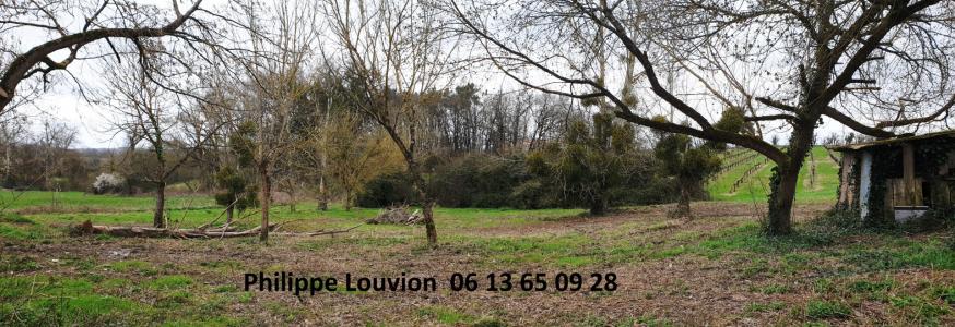 For sale Monsegur 7 rooms 124 m2 Gironde (33580) photo 3