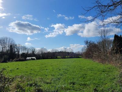 For sale Fouesnant 3800 m2 Finistere (29940) photo 0