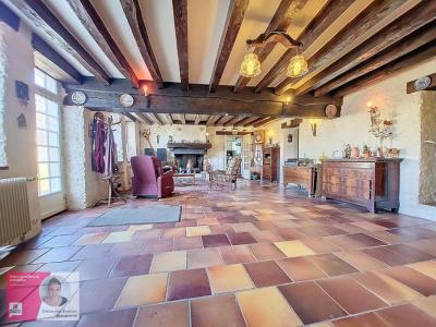 For sale Beaugency 7 rooms 185 m2 Loiret (45190) photo 1