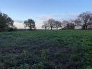 For sale Land Nesmy  974 m2