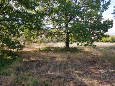 For sale Pouget 300 m2 Herault (34230) photo 1