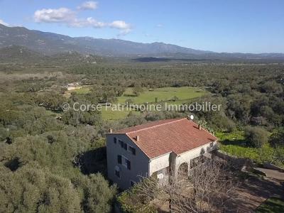 For sale Sotta 5 rooms 90 m2 Corse (20146) photo 0