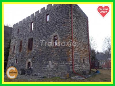 For sale Pierrefort 7 rooms 250 m2 Cantal (15230) photo 1