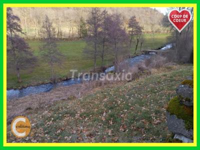 For sale Pierrefort 7 rooms 250 m2 Cantal (15230) photo 2