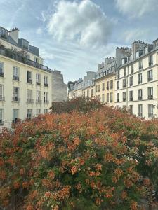 For sale Paris-2eme-arrondissement Paris (75002) photo 0