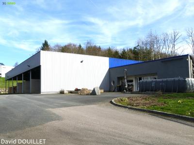 For sale Forges 4 rooms 750 m2 Vosges (88390) photo 0