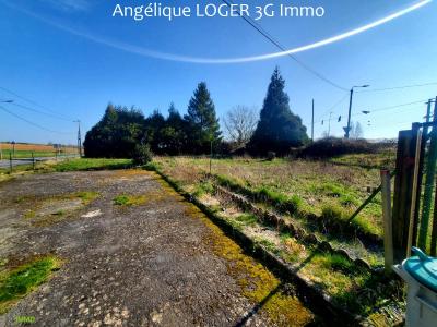 For sale Honnechy 7 rooms 136 m2 Nord (59980) photo 3