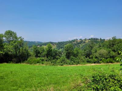 For sale Sauviat 4580 m2 Puy de dome (63120) photo 0