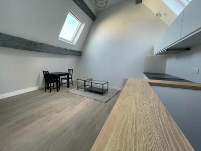 For rent Lille 2 rooms 30 m2 Nord (59000) photo 1