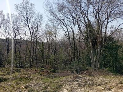 For sale Roche-maurice 1039 m2 Finistere (29800) photo 1