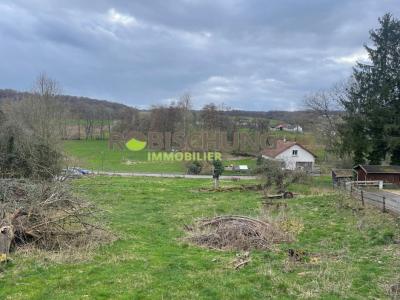 For sale Roppentzwiller Haut rhin (68480) photo 1