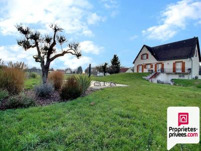 Acheter Maison Villemandeur Loiret