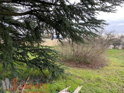 For sale Vienne 600 m2 Isere (38200) photo 1