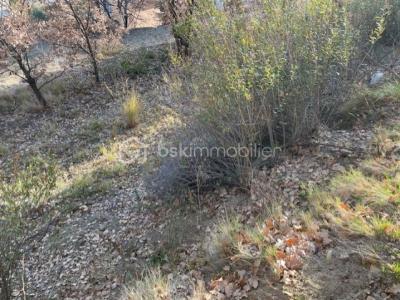 For sale Catllar 4150 m2 Pyrenees orientales (66500) photo 3