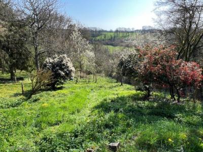For sale Adjots CHAMPAGNE-MOUTON 4 rooms 82 m2 Charente (16700) photo 3