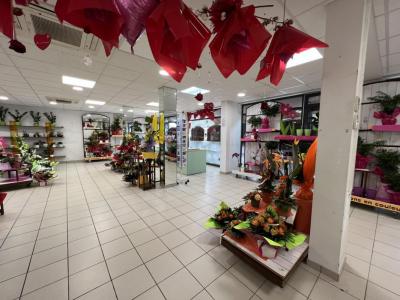 Annonce Vente Local commercial Troyes 10