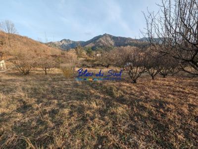 For sale Fillols 1500 m2 Pyrenees orientales (66820) photo 0