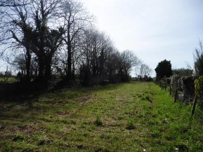 For sale Trevoux 1102 m2 Finistere (29380) photo 3