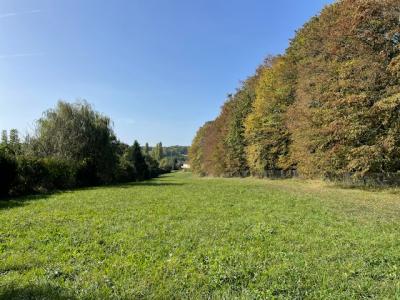 Acheter Terrain Miserey-salines Doubs