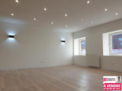 Annonce Vente 6 pices Appartement Belfort 90