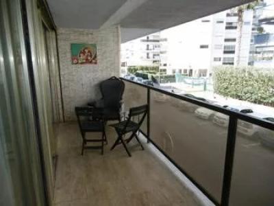 For rent Cannes PALM BEACH 3 rooms 70 m2 Alpes Maritimes (06400) photo 0