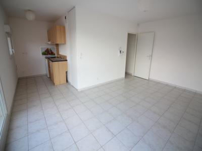 Annonce Location Appartement Golbey 88