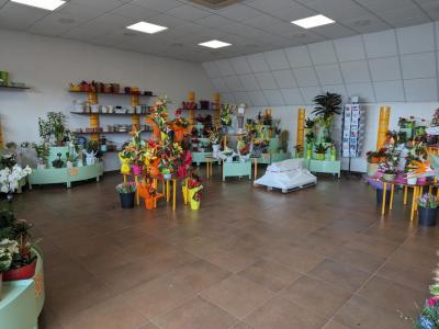 Annonce Vente Local commercial Amilly 45