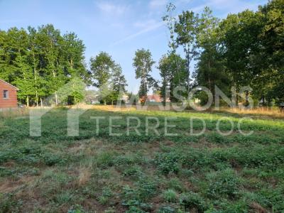 For sale Saint-pierre-de-lages 502 m2 Haute garonne (31570) photo 0