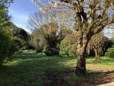 For sale Talais 4 rooms 70 m2 Gironde (33590) photo 3