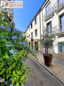 For sale Montpellier 1 room 32 m2 Herault (34090) photo 0