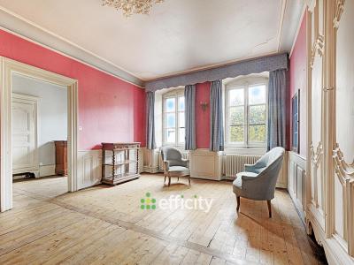 For sale Montbeliard 10 rooms 285 m2 Doubs (25200) photo 0