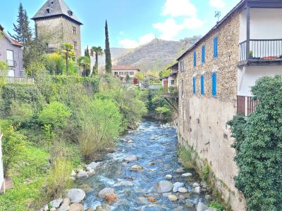 For sale Mauleon-barousse 3 rooms 215 m2 Hautes pyrenees (65370) photo 2